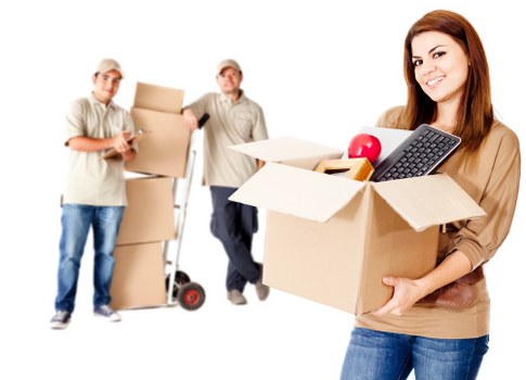 Climate-smart household storage setup for Edmonton residents